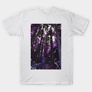 Purple Stand Of Trees T-Shirt